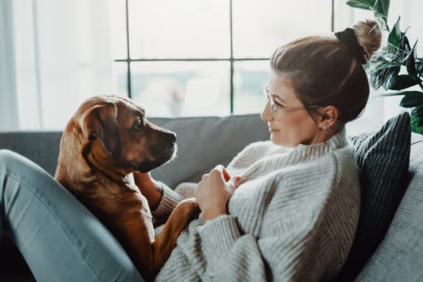 Woman cuddles, plays with her dog at home